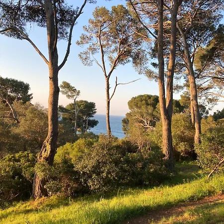 Le Petit Bois à La Presqu'île De Giens ! Appartamento