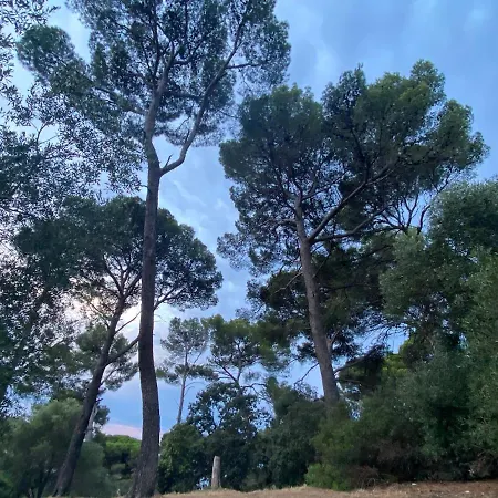 Apartamento Le Petit Bois A La Presqu'ile De Giens ! Hyères