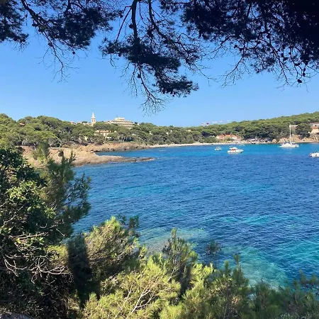 Le Petit Bois à La Presqu'île De Giens ! *