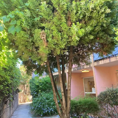 Le Petit Bois à La Presqu'île De Giens ! * Hyères